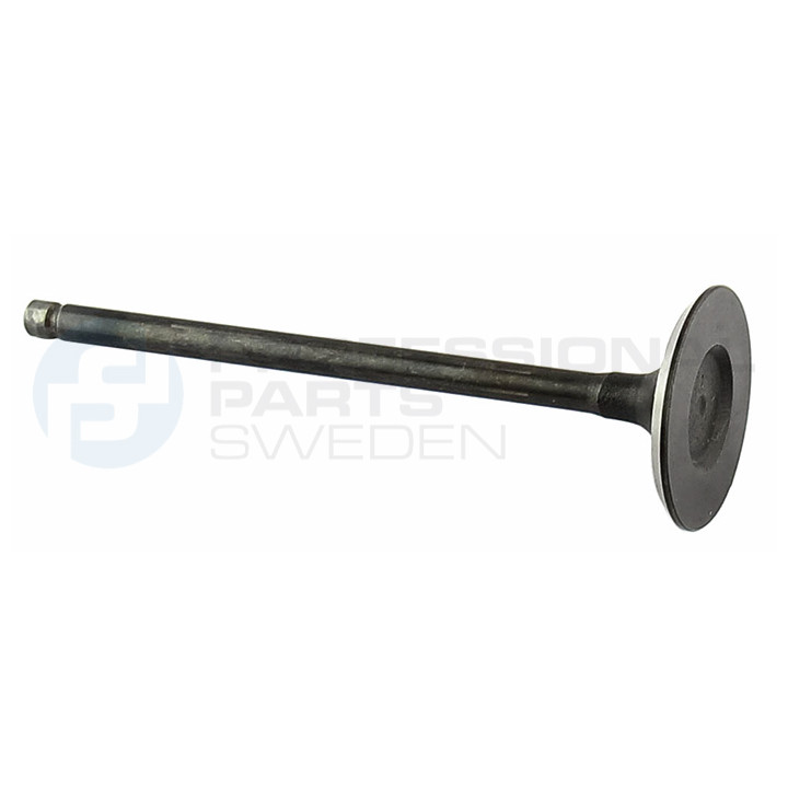 Zawór dolotowy Professional Parts 23434781