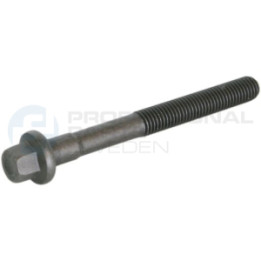 Śruba głowicy cylindrów Professional Parts 21432347