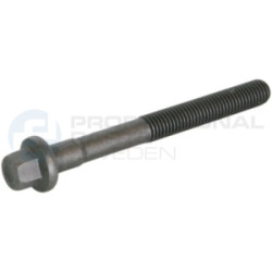 Śruba głowicy cylindrów Professional Parts 21432347