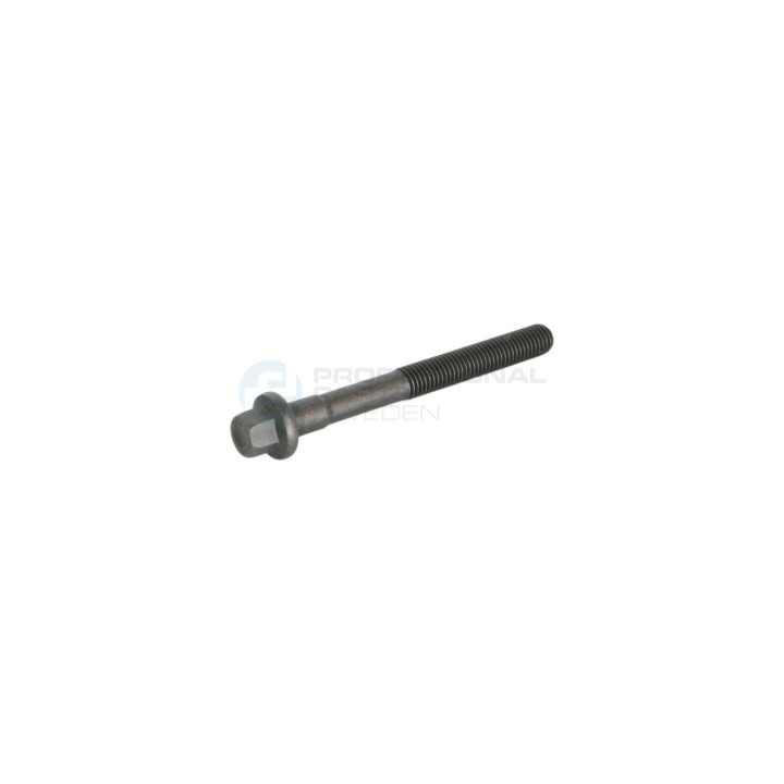 Śruba głowicy cylindrów Professional Parts 21432347