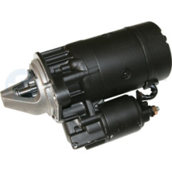 Rozrusznik Professional Parts 28431250