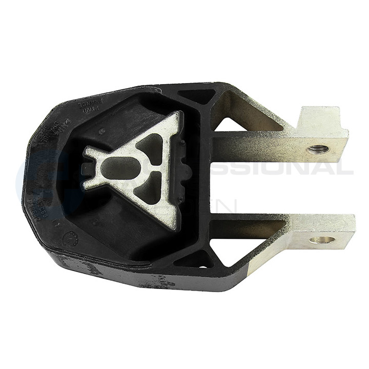 Poduszka silnika Professional Parts 62430017