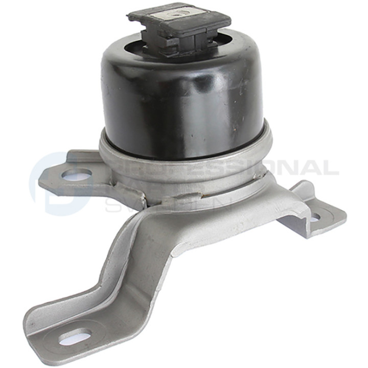 Poduszka silnika Professional Parts 62437674