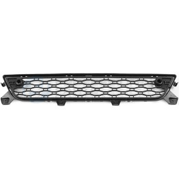 Atrapa chłodnicy Professional Parts 82434054