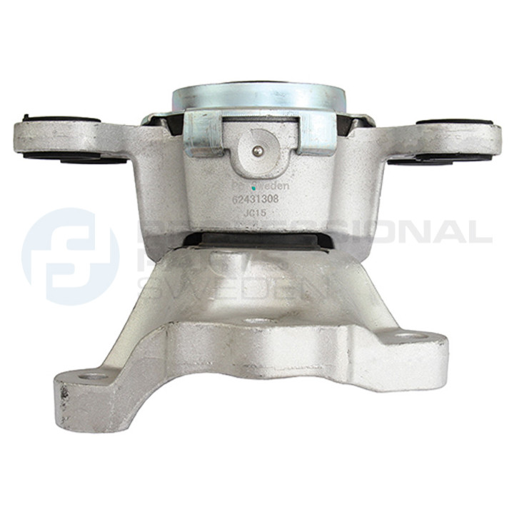 Poduszka silnika Professional Parts 62431308