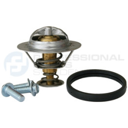 Termostat Professional Parts 26433572