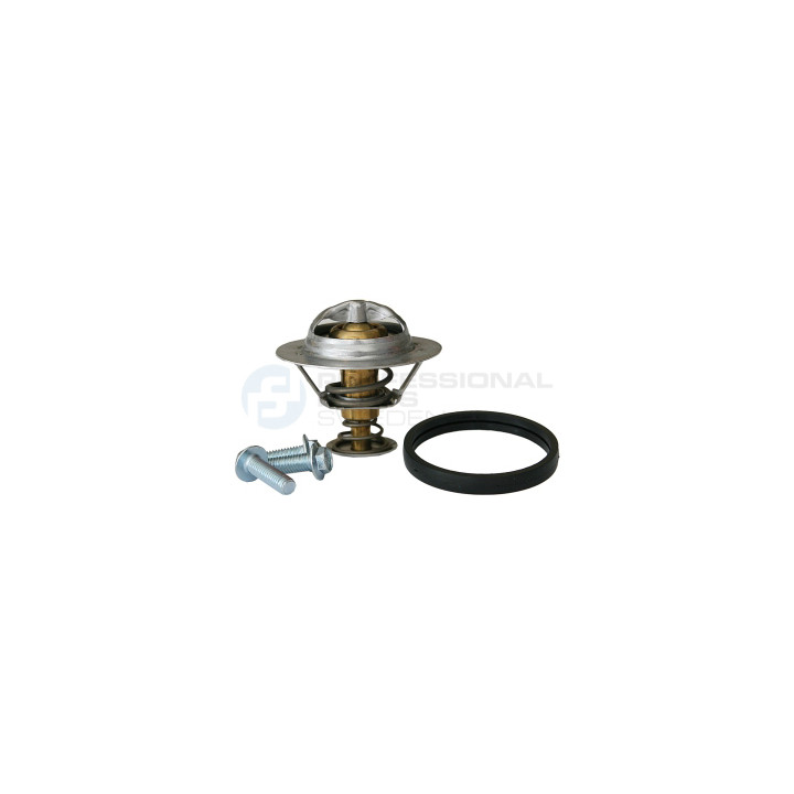 Termostat Professional Parts 26433572