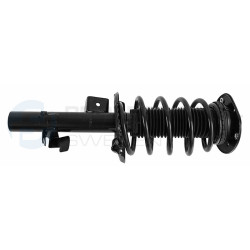 Zestaw zawieszenia sprężyna i amortyzator Professional Parts 72433748C