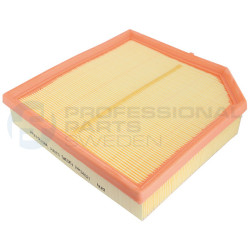 Filtr powietrza Professional Parts 24434521