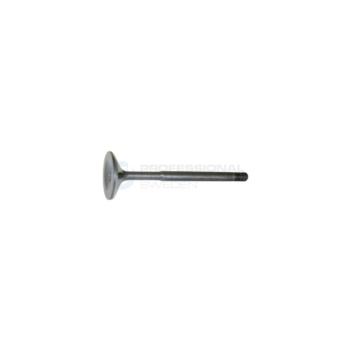Zawór dolotowy Professional Parts 23433395