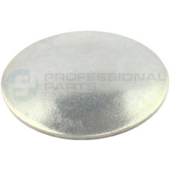 Brok zaślepka wałka rozrządu Professional Parts 21433903