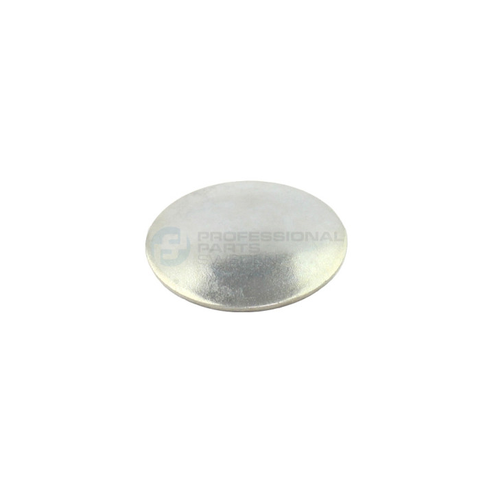 Brok zaślepka wałka rozrządu Professional Parts 21433903