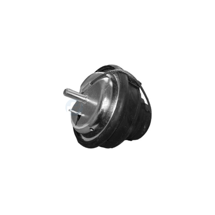 Poduszka silnika Professional Parts 62436222