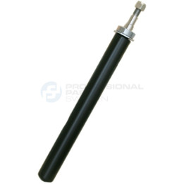 Amortyzator Professional Parts 72431579