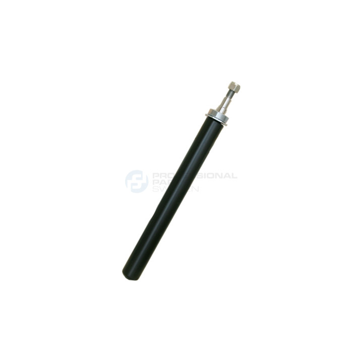 Amortyzator Professional Parts 72431579