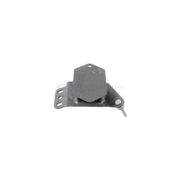 Poduszka silnika Professional Parts 62430774