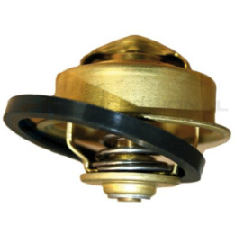 Termostat Professional Parts 26433307