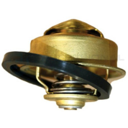 Termostat Professional Parts 26433307
