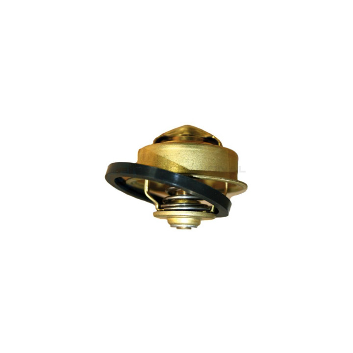 Termostat Professional Parts 26433307