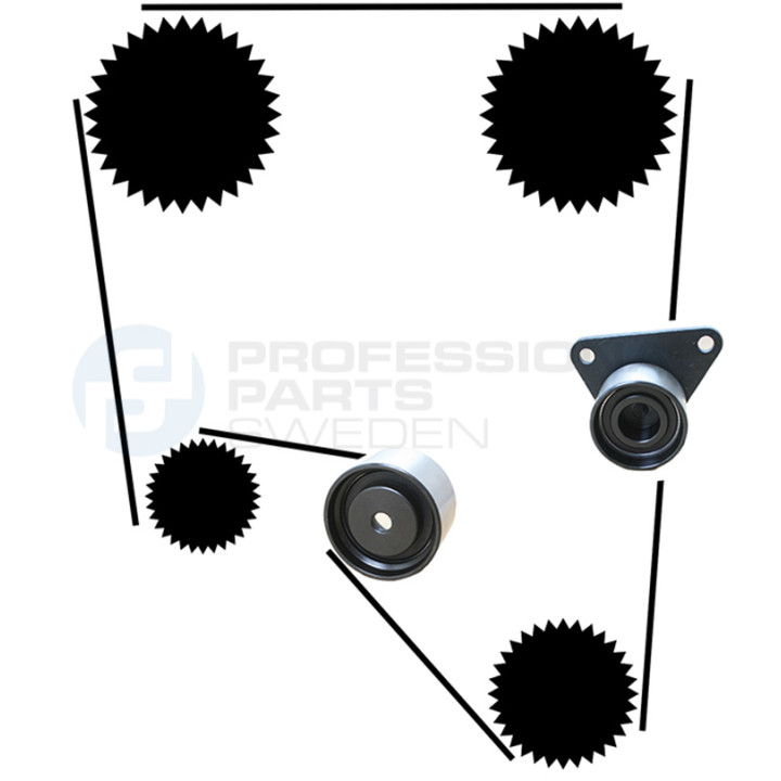 Zestaw paska rozrządu Professional Parts 21430018