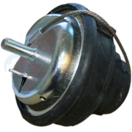Poduszka silnika Professional Parts 62434435