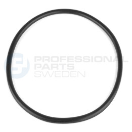 Uszczelka pompy paliwa Professional Parts 23434149