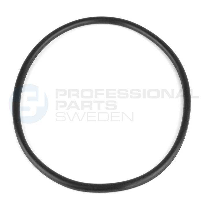 Uszczelka pompy paliwa Professional Parts 23434149