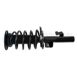 Zestaw zawieszenia sprężyna i amortyzator Professional Parts 72437905C