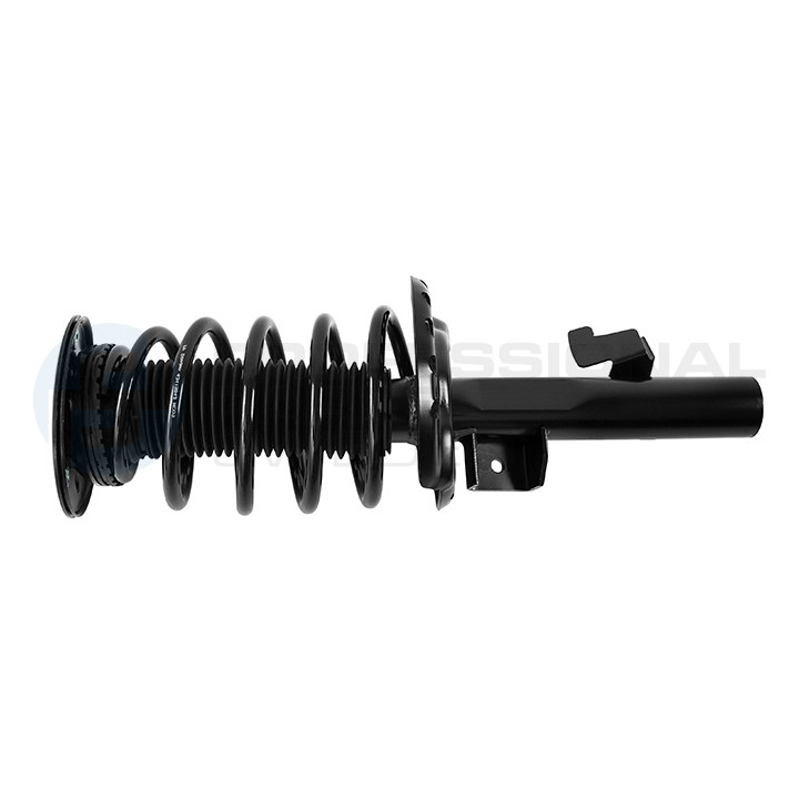 Zestaw zawieszenia sprężyna i amortyzator Professional Parts 72437905C