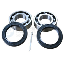 Piasta łożysko koła Professional Parts 77435765
