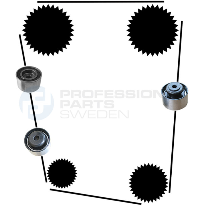 Zestaw paska rozrządu Professional Parts 21430008