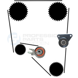 Zestaw paska rozrządu Professional Parts 21430028