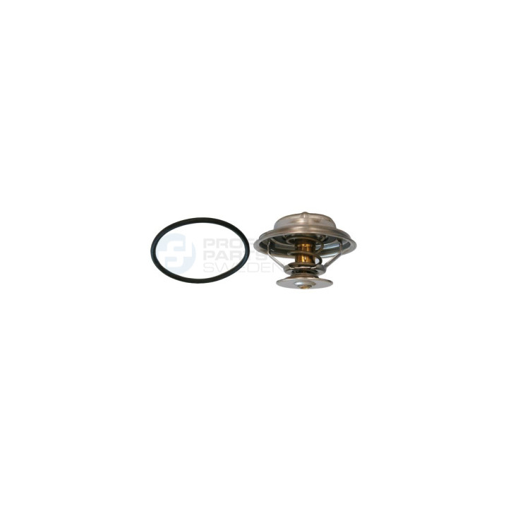 Termostat Professional Parts 26433480