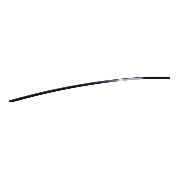 Strip retainer Volvo (3509617)