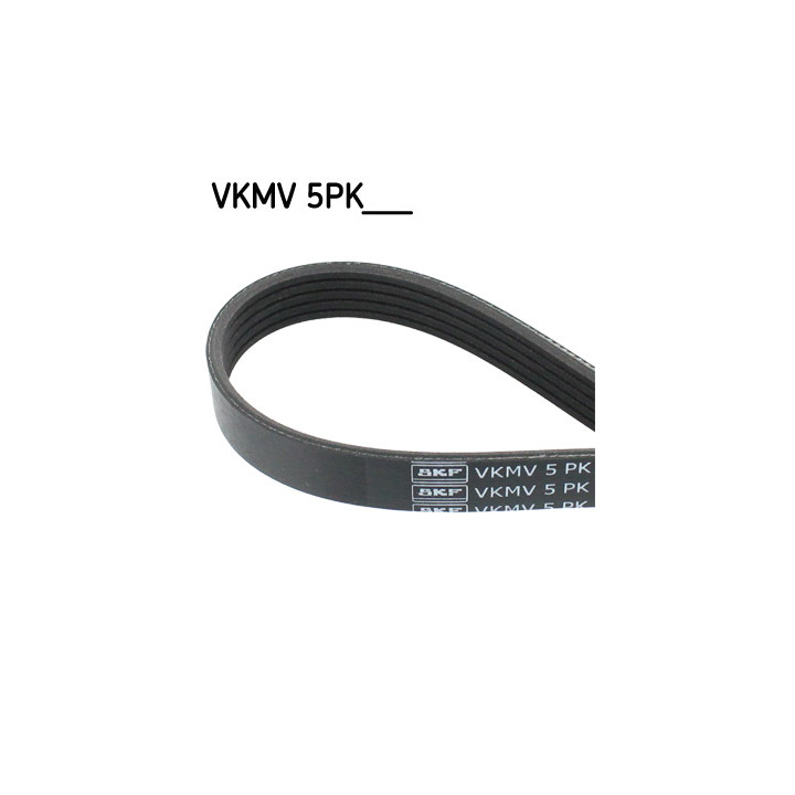 Pasek klinowy wielorowkowy SKF VKMV 5PK1121