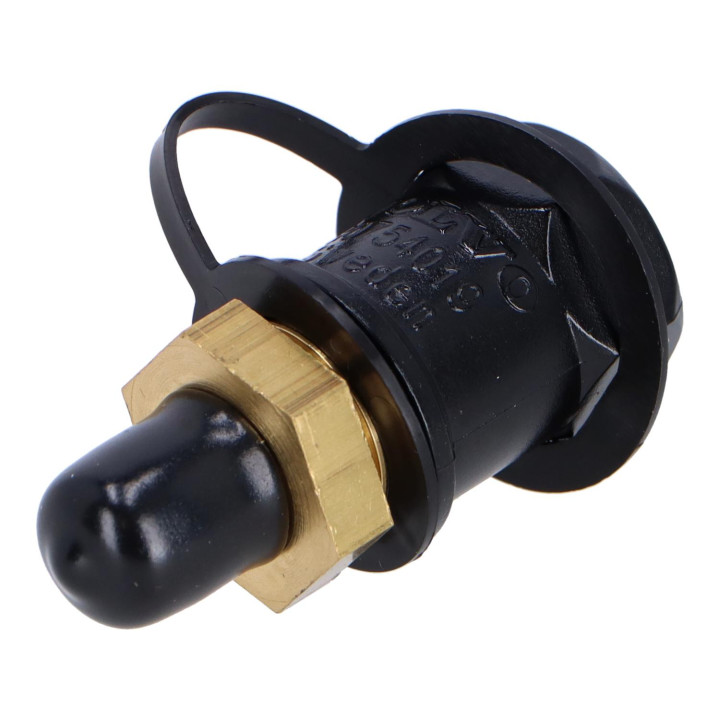 Valve Volvo (30754018)