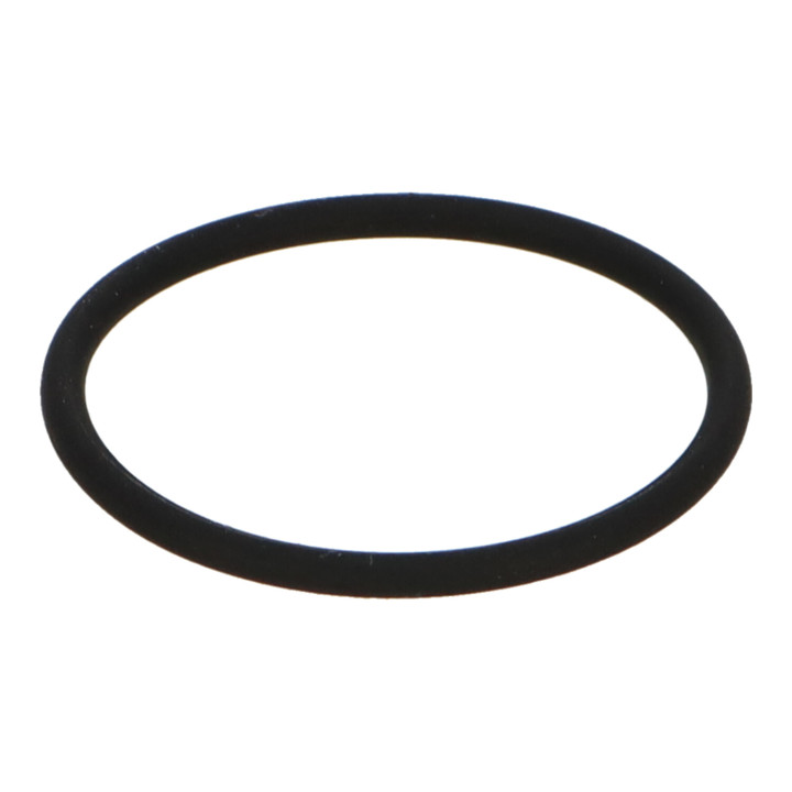O-ring Volvo (9186656)