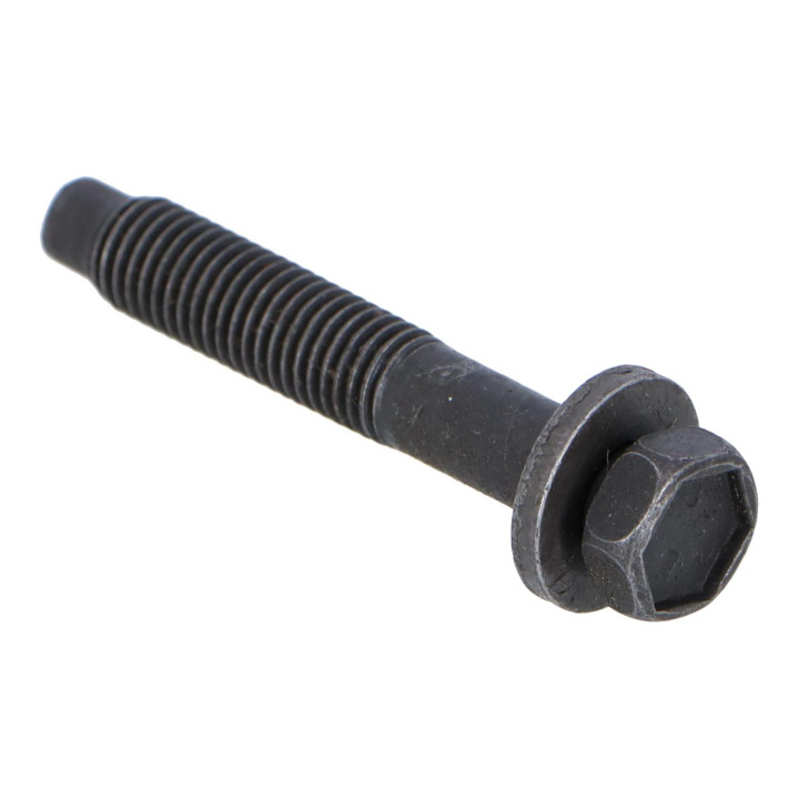 Flange screw Volvo (999318)