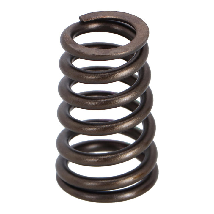 Valve spring Volvo (9180876)