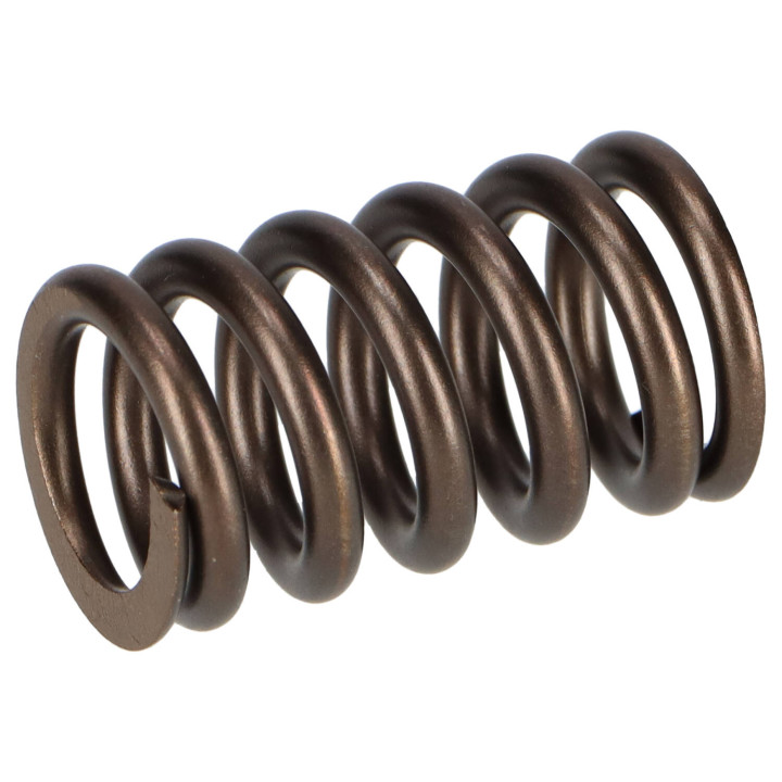 Valve spring Volvo (418737)