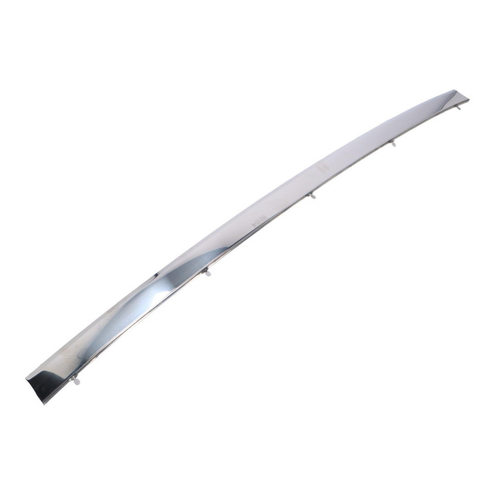 Trim moulding, center Volvo (1341836)