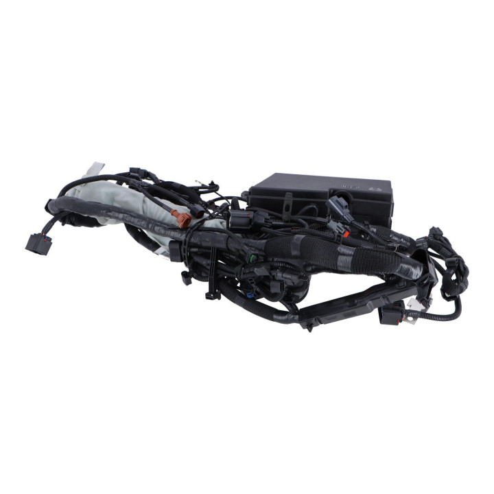 Wiring harness Volvo (30737019)