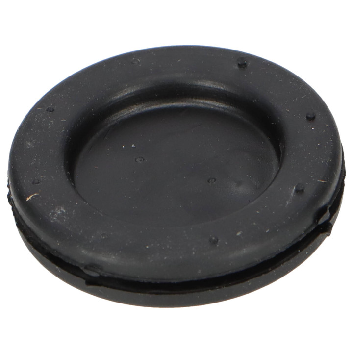 Plug Volvo (961970)