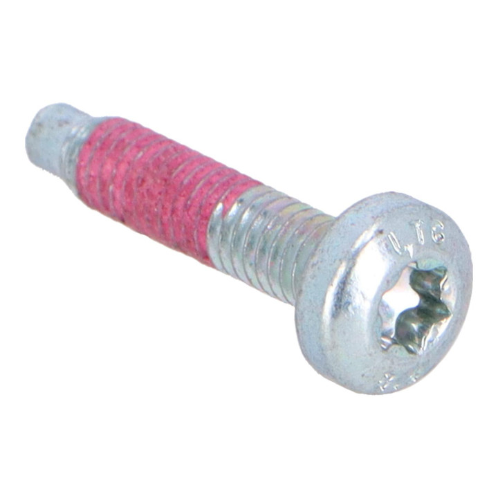 Hex. socket screw Volvo (30624194)