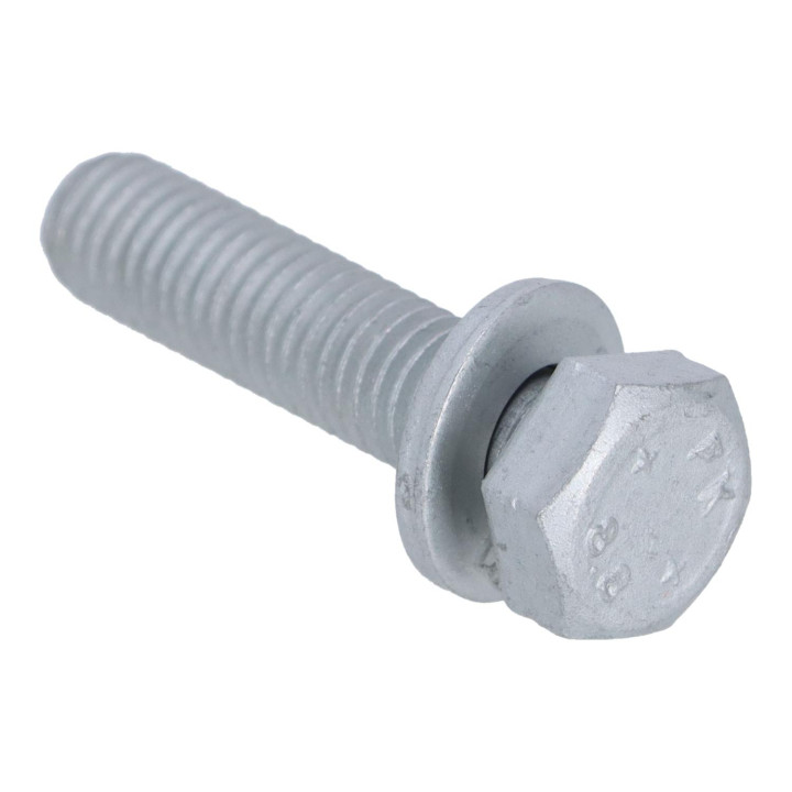Screw Volvo (30725219)