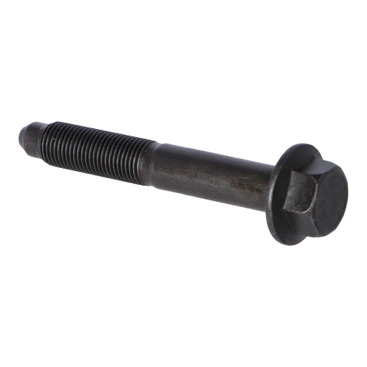 Flange screw Volvo (30819087)