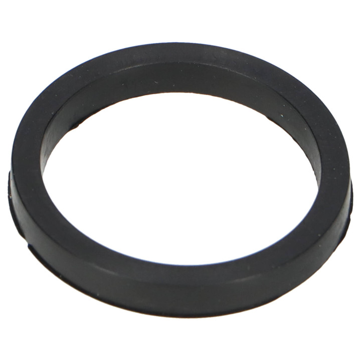 Sealing ring Volvo (419805)