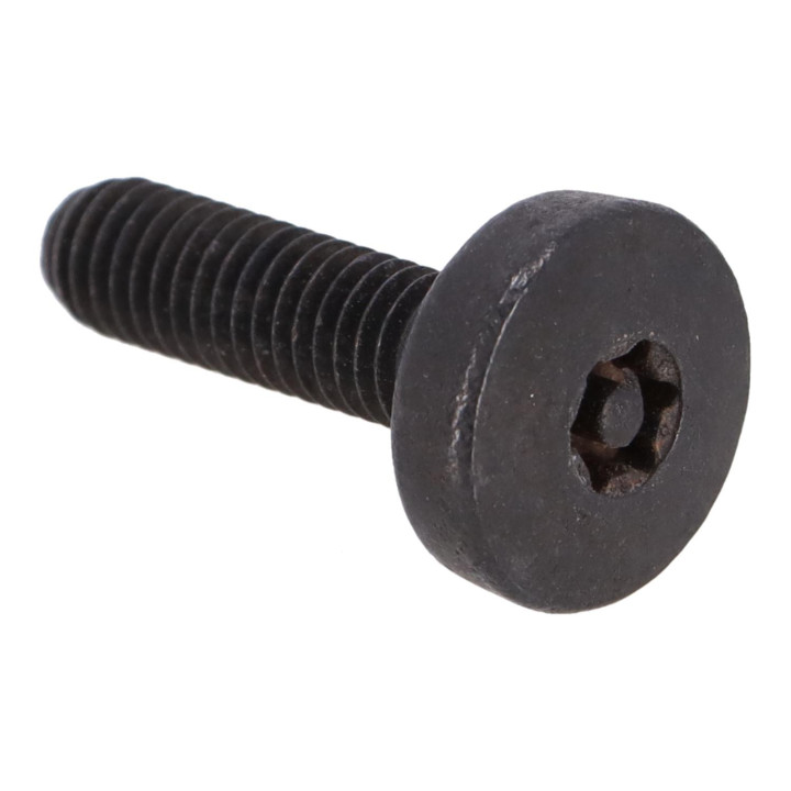 Six point socket screw Volvo (9192077)