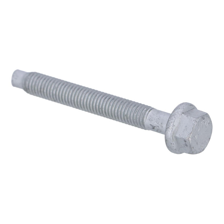 Flange screw Volvo (30624201)
