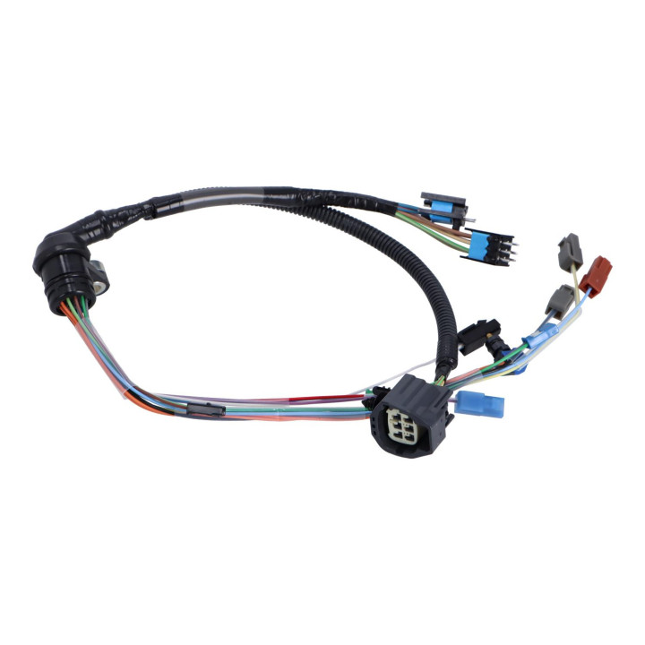 Wiring harness Volvo (30651188)